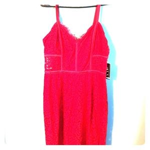 Red lace cocktail dress